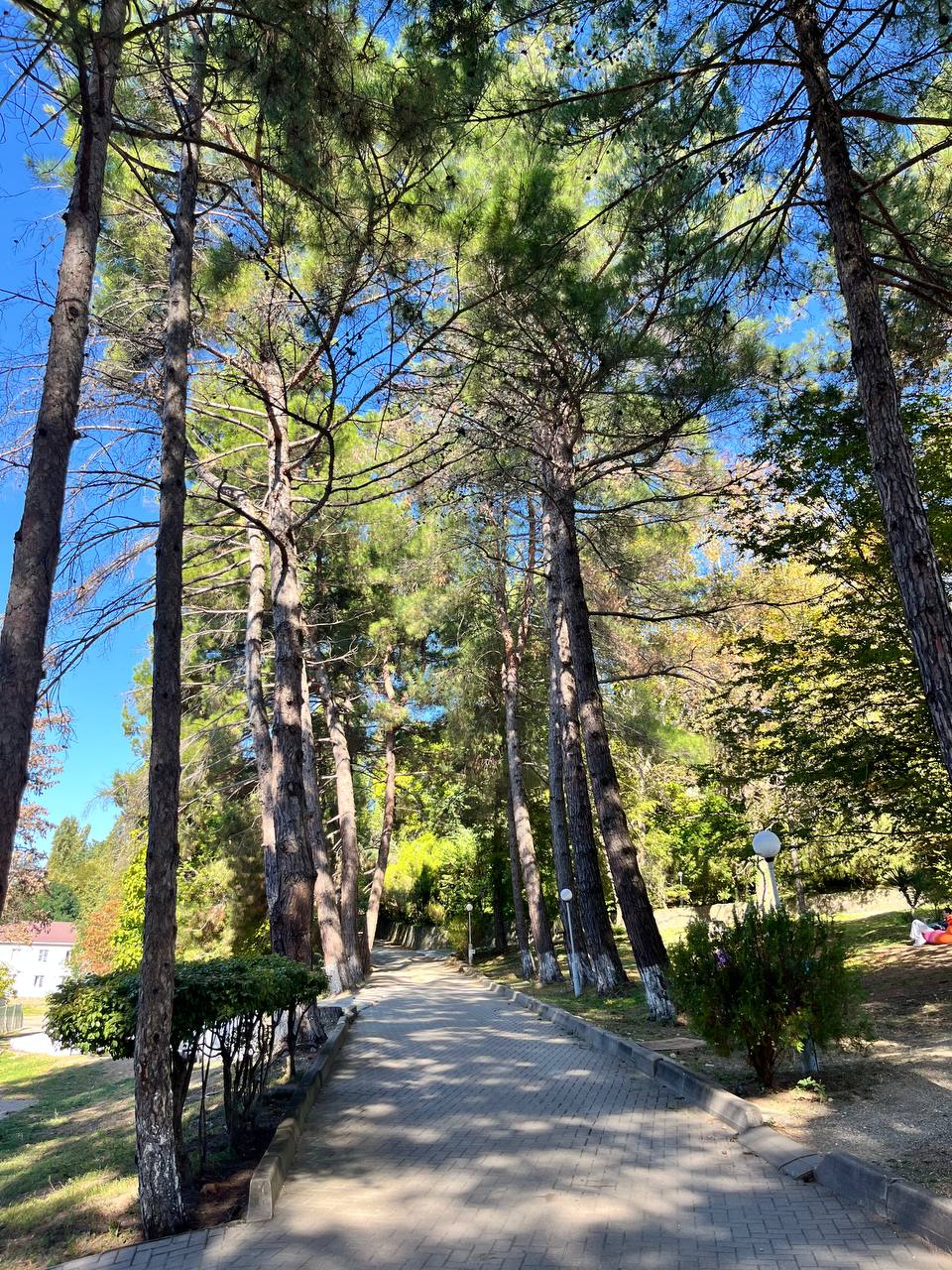 Жемчужина Кавказа