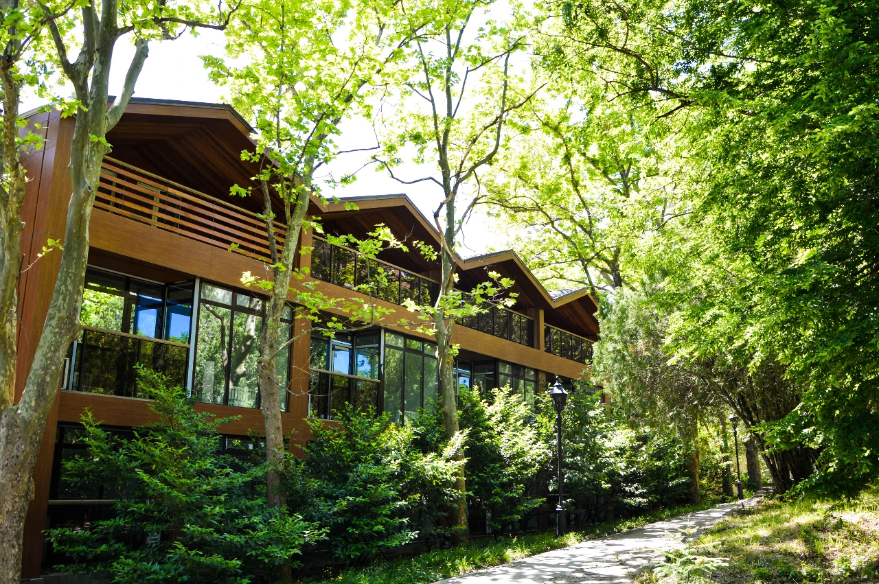 Жемчужина Кавказа