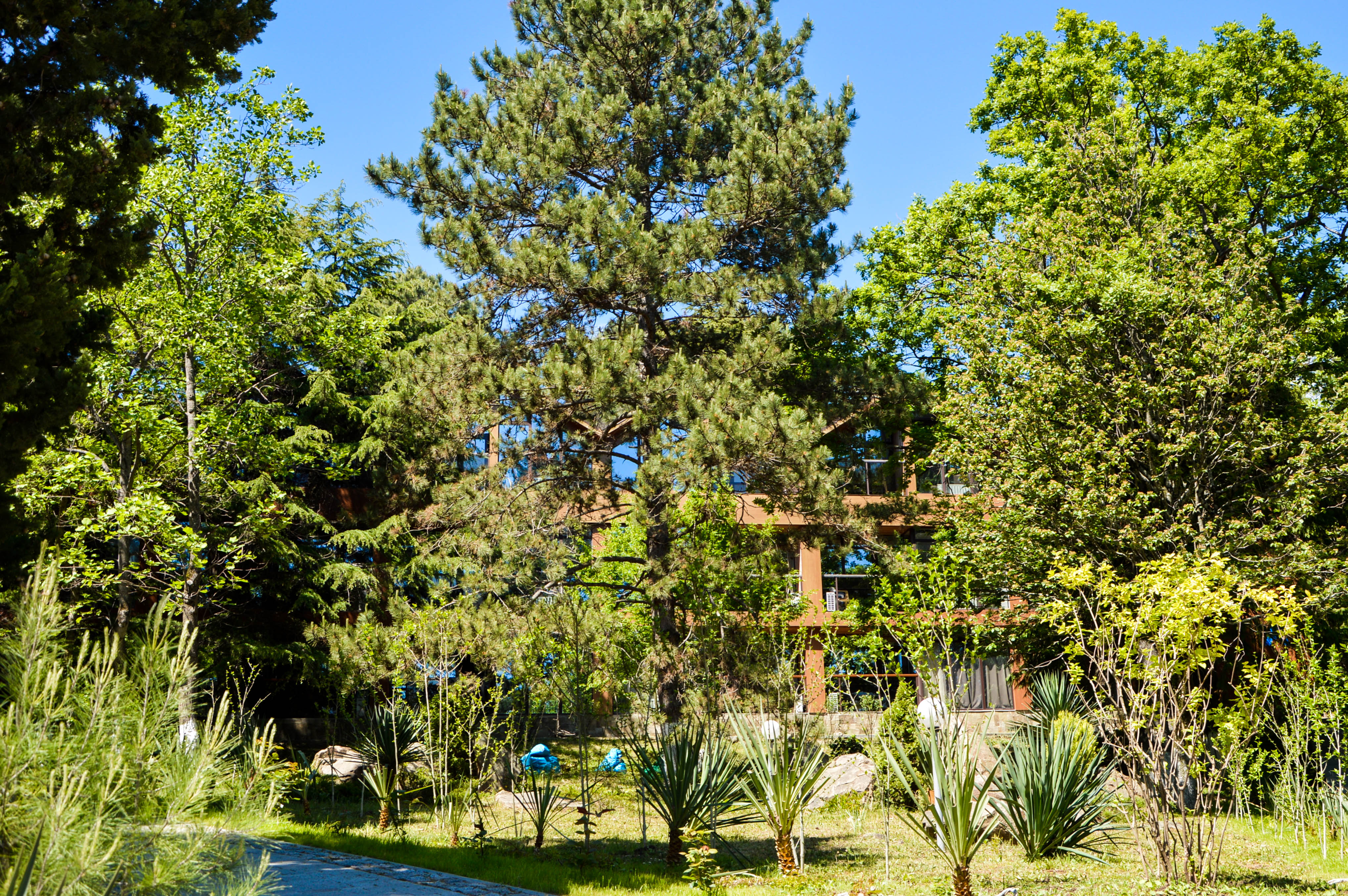 Жемчужина Кавказа