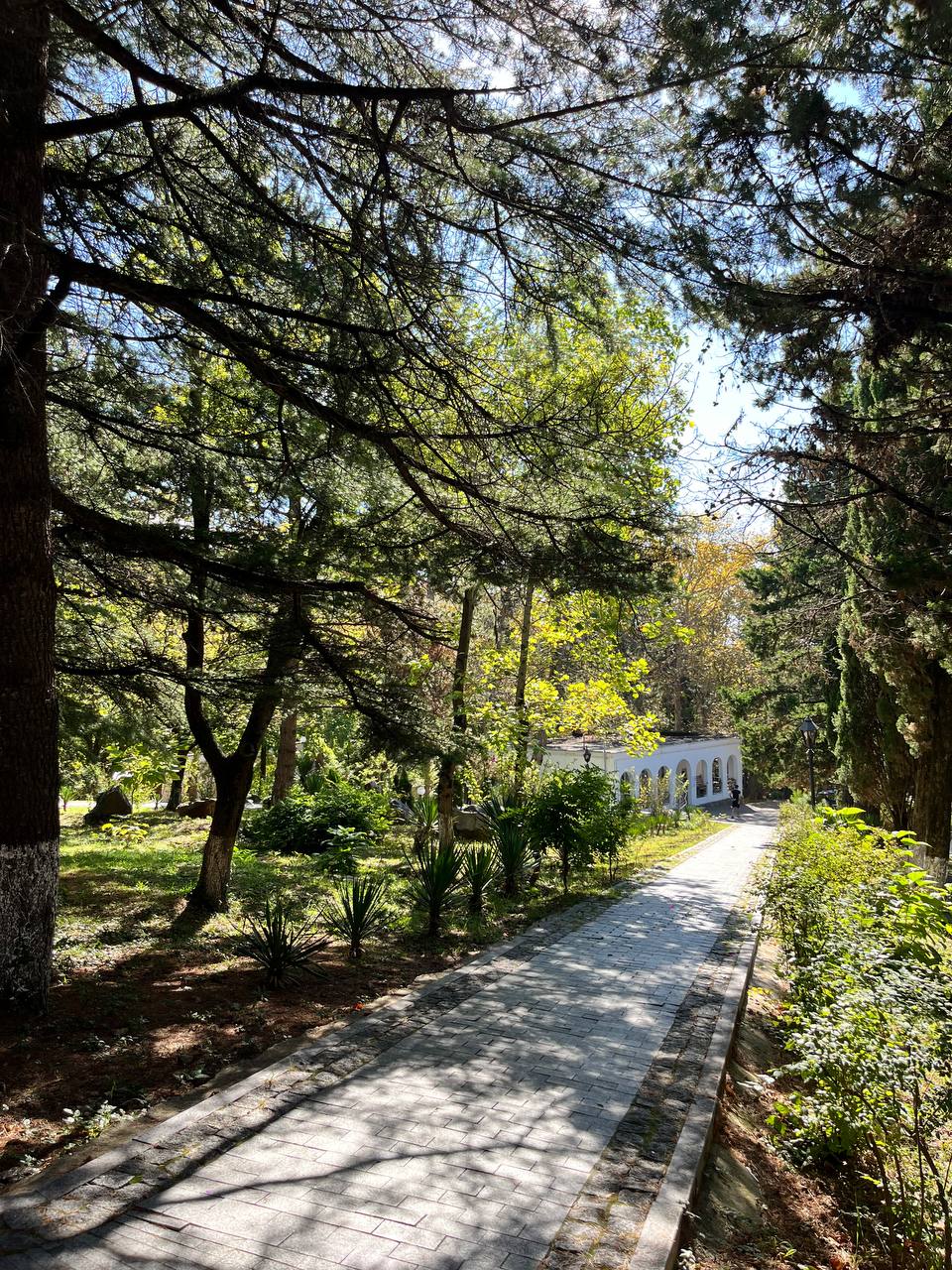 Жемчужина Кавказа