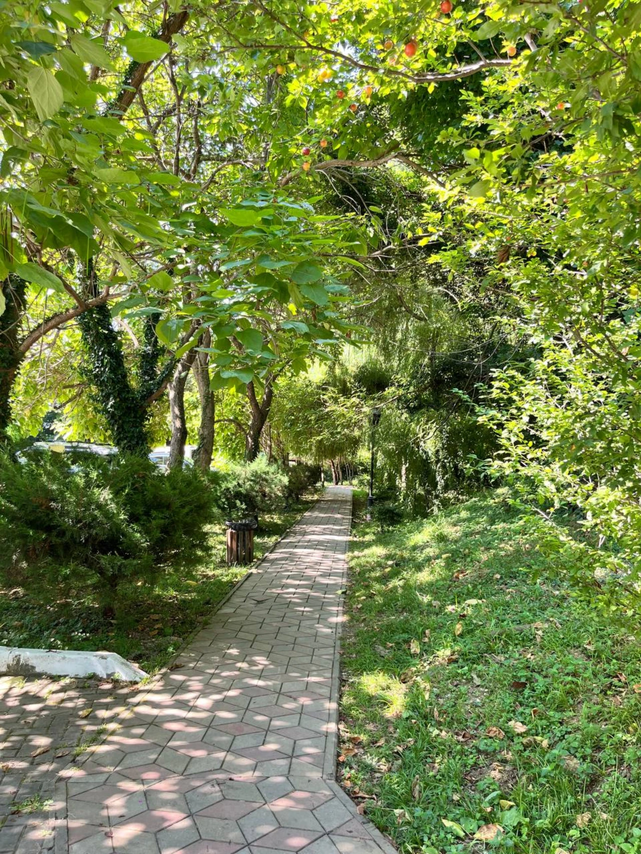 Жемчужина Кавказа