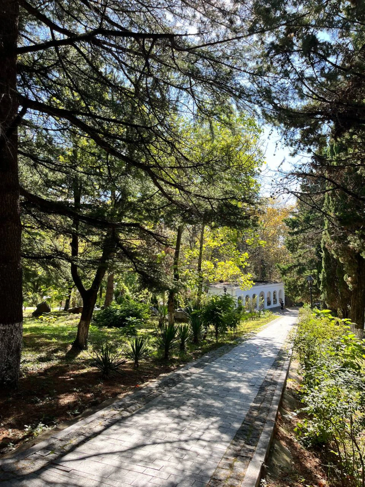 Жемчужина Кавказа